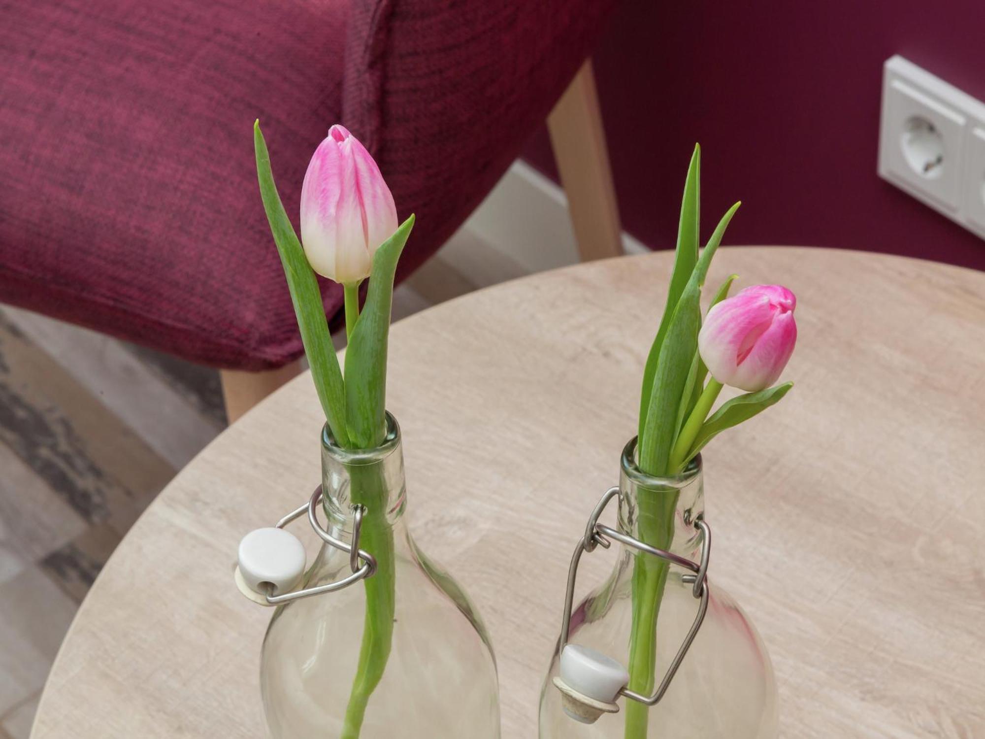 Luxury Apartment With Sun Shower At The Edge Of The Beautiful Oostkapelle Kültér fotó